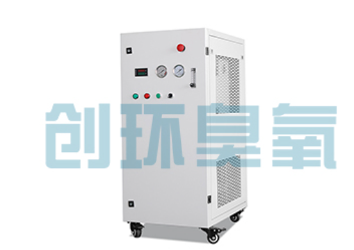 虹口石斑鱼养殖水质调控完整指南:臭氧发生器配置与操作步骤